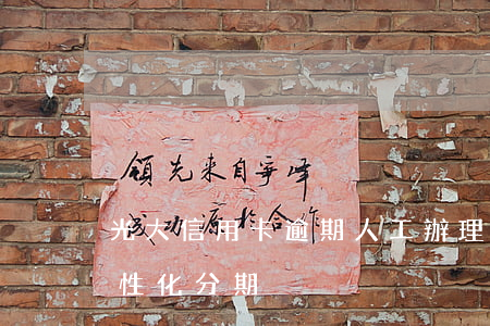 光大信用卡逾期人工辦理分期了(光大逾期個性化分期)