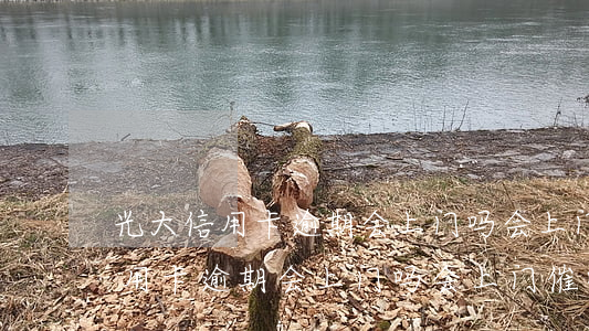 光大信用卡逾期会上门吗会上门催-光大信用卡逾期会上门吗会上门催收吗