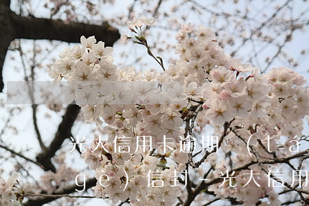 光大信用卡逾期來(lái)家里送了個(gè)信封-光大信用卡逾期來(lái)家里送了個(gè)信封怎么辦