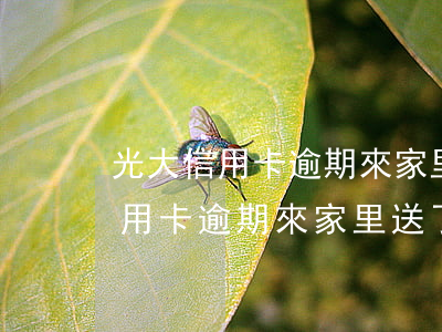 光大信用卡逾期來家里送了個信封-光大信用卡逾期來家里送了個信封怎么辦