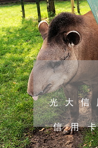 光大信用卡逾期修復(fù)技巧(光大銀行信用卡卡片異常怎么解除)