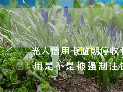 光大信用卡逾期停收利息(光大信用卡逾期停用是不是被强制注销了)
