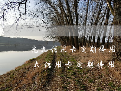 光大信用卡逾期停用還能恢復(fù)嗎(光大信用卡逾期停用還能恢復(fù)嗎)