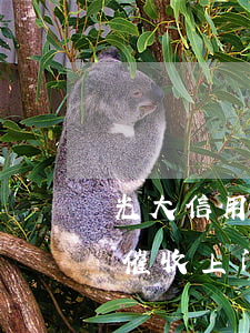 光大信用卡逾期催收上门了(光大信用卡逾期催收上门了)