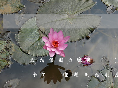 光大信用卡逾期債務(wù)減免(光大信用卡7萬逾期五天利息)