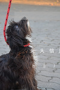 光大信用卡 逾期（光大銀行信用卡逾期儲(chǔ)蓄卡被凍結(jié)）