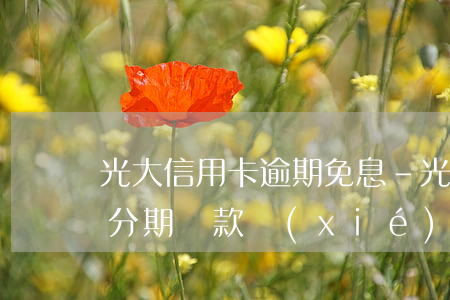 光大信用卡逾期免息-光大信用卡逾期免息分期還款協(xié)議