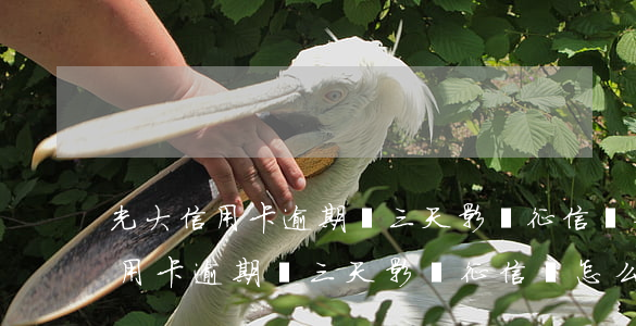 光大信用卡逾期兩三天影響征信嗎-光大信用卡逾期兩三天影響征信嗎怎么辦