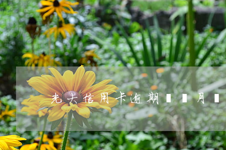 光大信用卡逾期兩個月報警怎么辦