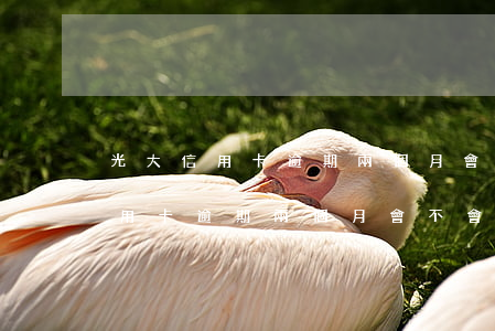 光大信用卡逾期兩個月會不會家訪-光大信用卡逾期兩個月會不會家訪呢