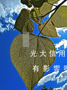 光大信用卡逾期兩天還了最低會(huì)有影響嗎-光大逾期兩天還款有影響嗎