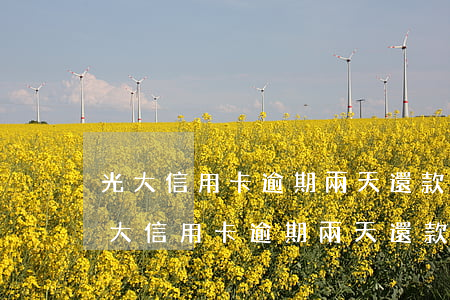 光大信用卡逾期兩天還款會影響征信嗎-光大信用卡逾期兩天還款會影響征信嗎