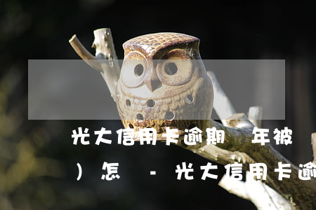 光大信用卡逾期兩年被銀行起訴會(huì)怎樣?-光大信用卡逾期兩年被銀行起訴會(huì)怎樣處理