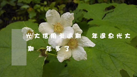 光大信用卡逾期兩年退息(光大銀行信用卡逾期兩年多了)