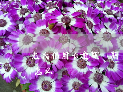 光大信用卡逾期兩期說上門(光大逾期上門了怎么辦)