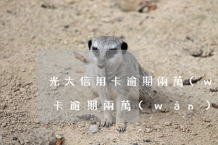 光大信用卡逾期兩萬(wàn)多(光大信用卡逾期兩萬(wàn)多天)