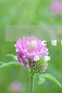 光大信用卡逾期兩萬會上門嗎-光大信用卡逾期兩萬會上門嗎
