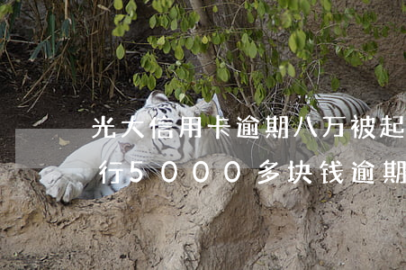 光大信用卡逾期八万被起诉怎么办(欠光大银行5000多块钱逾期会不会被起诉)