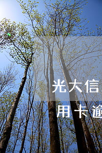 光大信用卡逾期冻卡了还能协商吗-光大信用卡逾期冻卡了还能协商吗怎么办