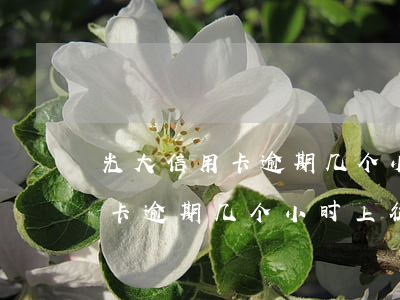 光大信用卡逾期几个小时上征信-光大信用卡逾期几个小时上征信啊