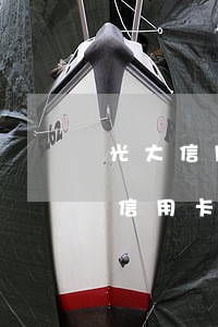 光大信用卡逾期几个月会怎么办-光大银行信用卡 逾期