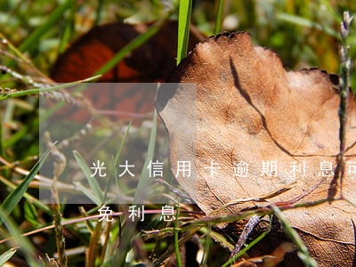 光大信用卡逾期利息可以減免嗎 光大申請減免利息