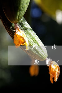 光大信用卡逾期利息合法嗎(光大銀行貸款逾期,會(huì)影響光大信用卡嗎)