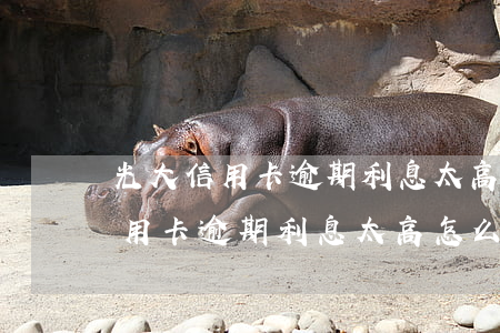 光大信用卡逾期利息太高怎么解决-光大信用卡逾期利息太高怎么解决呢
