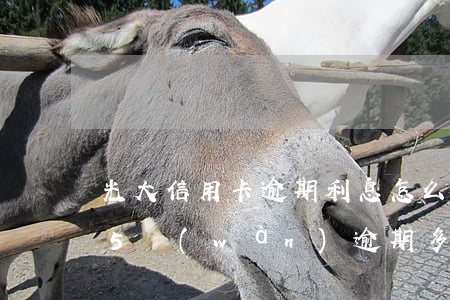 光大信用卡逾期利息怎么算(光大銀行信用卡5萬(wàn)逾期多久)