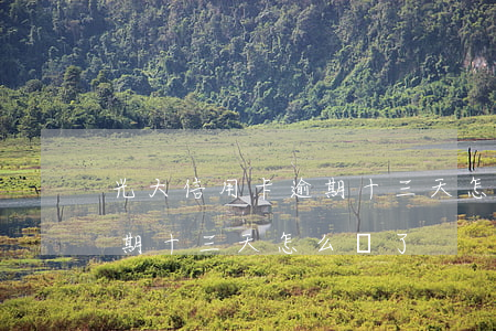 光大信用卡逾期十三天怎么辦 光大信用卡逾期十三天怎么辦了