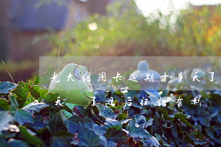 光大信用卡逾期十多天了(光大信用卡逾期十天還了以后征信有影響么)