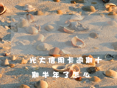 光大信用卡逾期十幾個(gè)月-光大逾期半年了怎么辦
