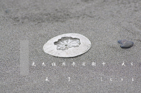 光大信用卡逾期十幾天6 光大信用卡逾期十幾天還了會產(chǎn)生影響嗎