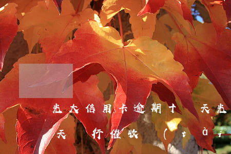 光大信用卡逾期十幾天(光大信用卡逾期十幾天銀行催收態(tài)度)