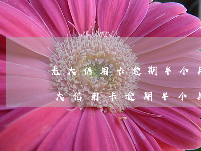 光大信用卡逾期半个月必须全款还清吗-光大信用卡逾期半个月必须全款还清吗