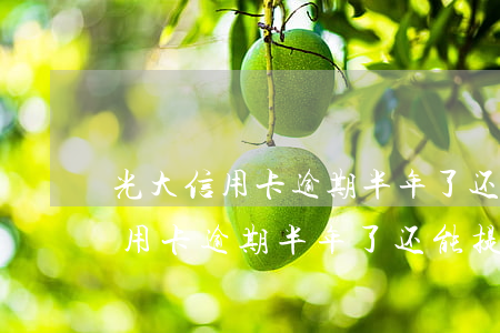光大信用卡逾期半年了还能提额吗-光大信用卡逾期半年了还能提额吗知乎