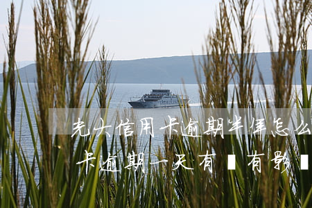 光大信用卡逾期半年怎么解決(光大銀行信用卡逾期一天有沒有影響?)