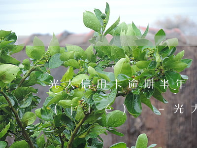 光大信用卡逾期半年換了會(huì)凍結(jié)嗎-光大信用卡逾期半年換了會(huì)凍結(jié)嗎怎么辦