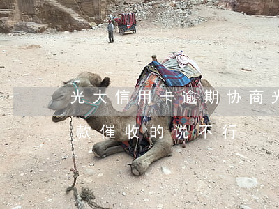 光大信用卡逾期协商(光大信用卡逾期协商还款催收的说不行)