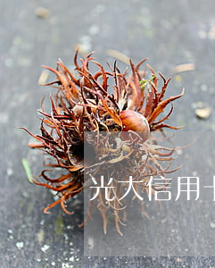 光大信用卡逾期协商还款成功案例