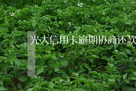 光大信用卡逾期协商还款跟谁协商