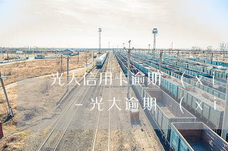 光大信用卡逾期協(xié)商停息分期電話-光大逾期協(xié)商還款