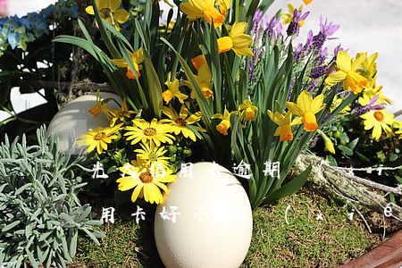 光大信用卡逾期協(xié)商技巧(光大信用卡好不好協(xié)商)