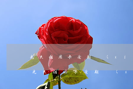 光大信用卡逾期協(xié)商解決方案-光大信用卡逾期協(xié)商解決方案是什么