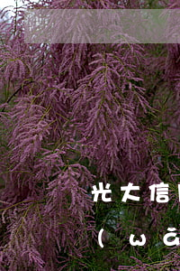 光大信用卡逾期協(xié)商還款要去網(wǎng)點面簽-跟光大信用卡協(xié)商過還需要跟催收協(xié)商嗎
