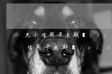 光大信用卡逾期協(xié)商難不難(光大信用卡逾期協(xié)商難不難)