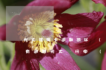光大信用卡逾期可以協(xié)商減免嗎 有逾期光大銀行申請(qǐng)信用卡能通過(guò)嗎