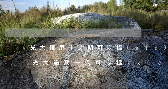 光大信用卡逾期可以協(xié)商減免嘛(光大逾期一周,可以協(xié)商不上征信嗎?)