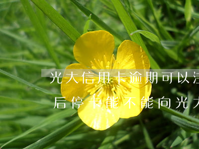 光大信用卡逾期可以注銷嗎-光大銀行逾期后?？懿荒芟蚬獯筱y行申請(qǐng)分期還款