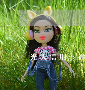 光大信用卡逾期可以消除嗎(取消光大信用卡)